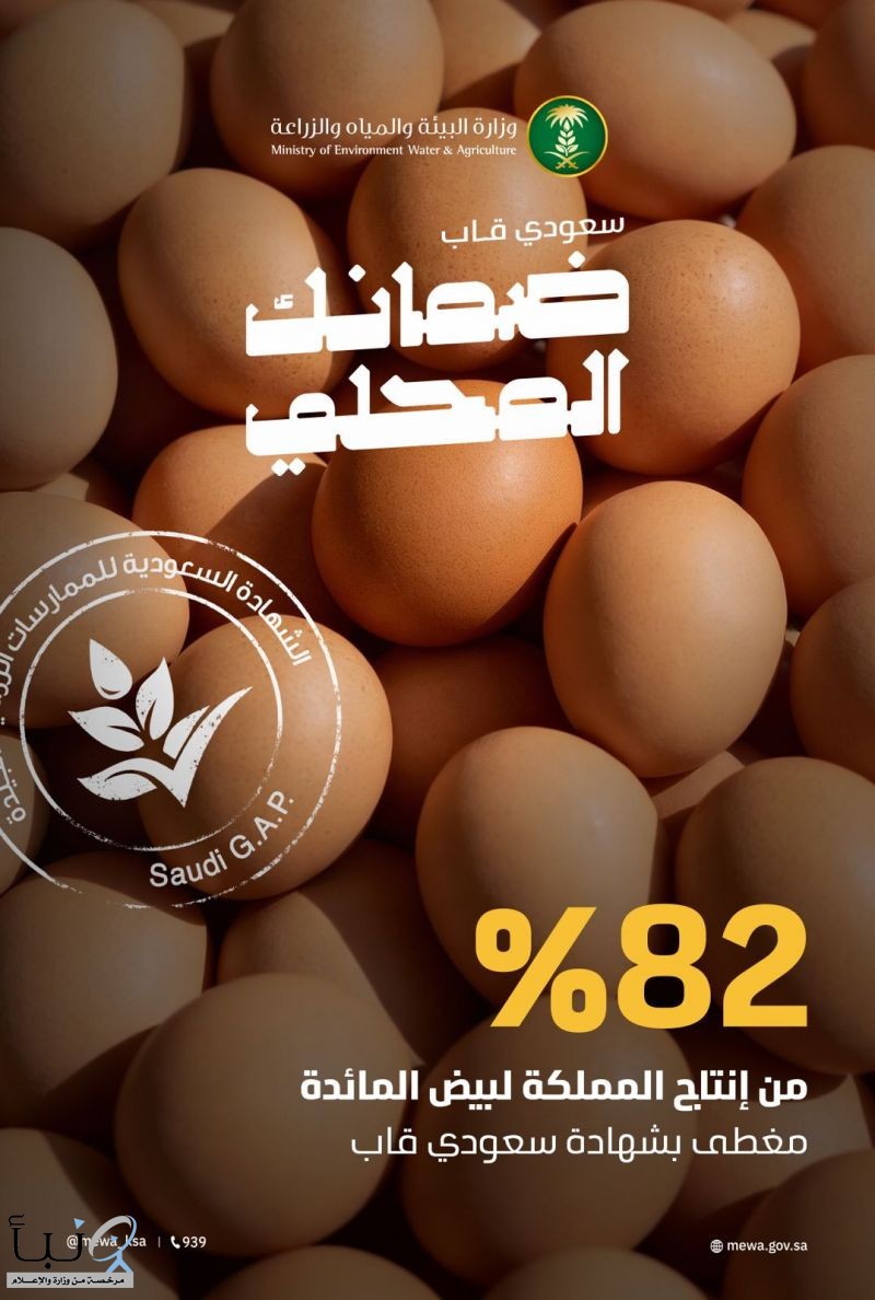 "البيئة": 82% من إنتاج المملكة لبيض المائدة معتمد بشهادة "سعودي قاب" وإنتاج سنوي يتجاوز 8.4 مليارات بيضة "البيئة": 82% من إنتاج المملكة لبيض المائدة معتمد بشهادة "سعودي قاب" وإنتاج سنوي يتجاوز 8.4 مليارات بيضة