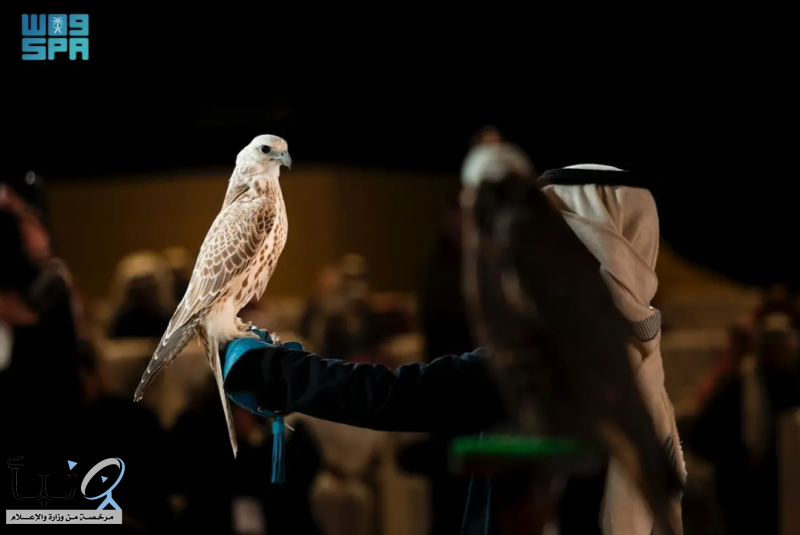 إقامة شوطين ضمن مسابقة المزاين بمهرجان الملك عبدالعزيز للصقور 2025 إقامة شوطين ضمن مسابقة المزاين بمهرجان الملك عبدالعزيز للصقور 2025