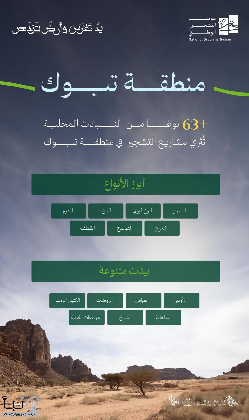 البرنامج الوطني للتشجير: انتشارٌ واسع لأكثر من 63 نوعًا من النباتات المحلية في بيئات تبوك أبرزها السدر والقيصوم والروثة والحماط