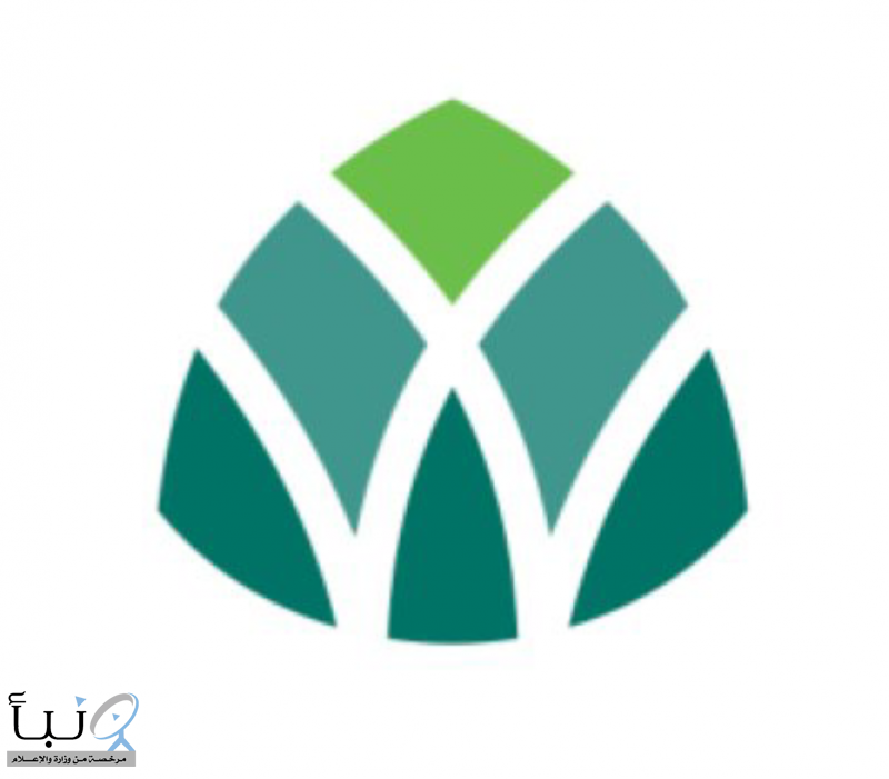 أمانة منطقة المدينة المنورة تعزز الرقابة الصحية على المنشآت التجارية