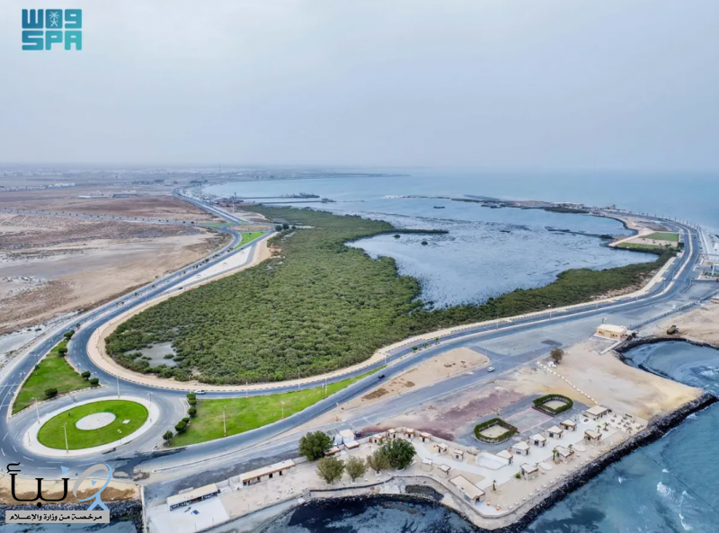 جزيرة المرجان بجازان.. أيقونة سياحية تجمع بين صفاء المياه وروعة الحياة البحرية