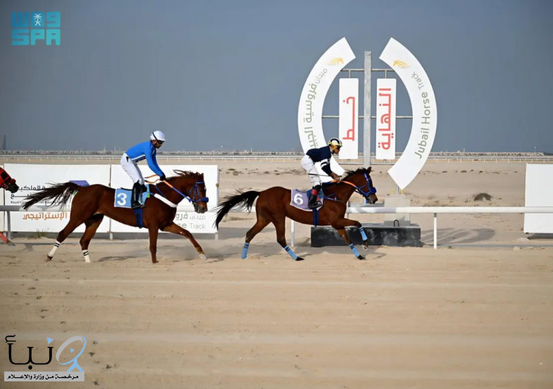 ميدان فروسية الجبيل يقيم سابع سباقاته للموسم الرياضي 2025 – 2026