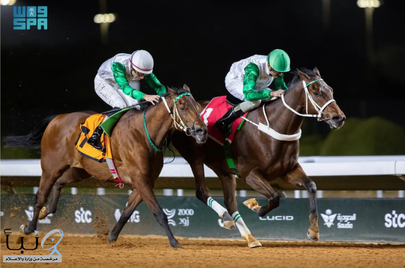 نادي سباقات الخيل ينظم منافسات الأسبوع الخامس عشر من موسم سباقات الرياض نادي سباقات الخيل ينظم منافسات الأسبوع الخامس عشر من موسم سباقات الرياض