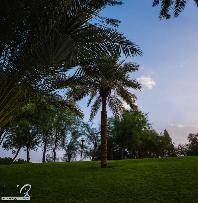 أمانة الرياض تتخذ الإجراءات النظامية بحق 5 مخالفين بعد رصدهم عبر انظمة الرقابة الذكية في حدائق الرياض أمانة الرياض تتخذ الإجراءات النظامية بحق 5 مخالفين بعد رصدهم عبر انظمة الرقابة الذكية في حدائق الرياض