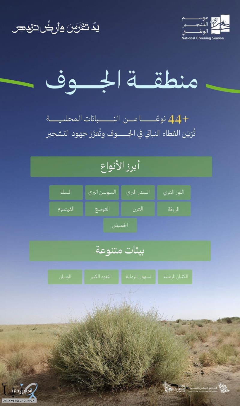 البرنامج الوطني للتشجير: اللوز والسّدر والعرن والسوسن أبرز أنواع النباتات المحلية الملائمة للتشجير في منطقة الجوف البرنامج الوطني للتشجير: اللوز والسّدر والعرن والسوسن أبرز أنواع النباتات المحلية الملائمة للتشجير في منطقة الجوف