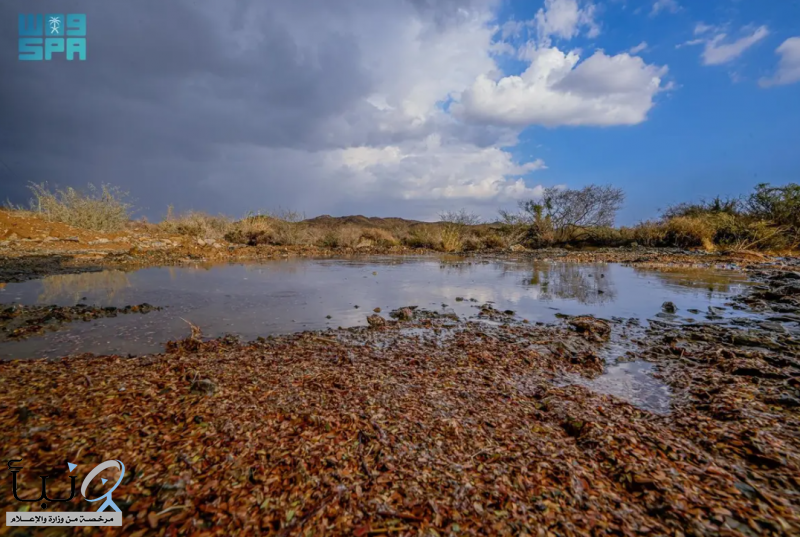 هطول أمطار على منطقة الباحة