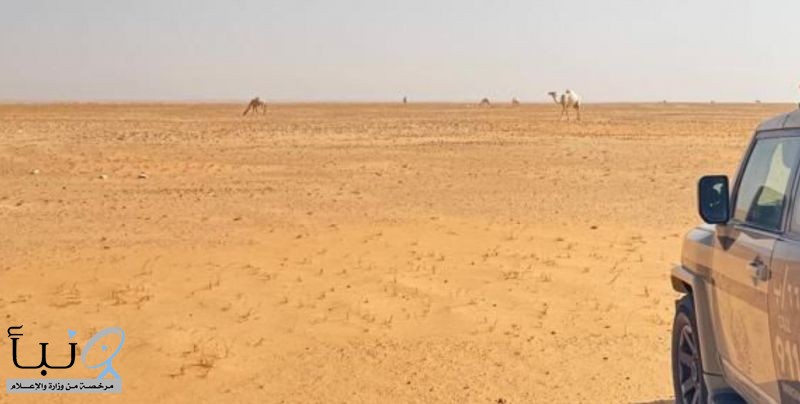 “الأمن البيئي” يضبط مواطنًا لارتكابه مخالفة رعي  ‏‎