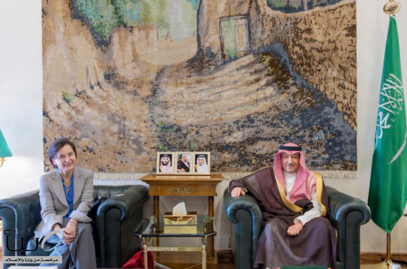 نائب وزير الخارجية يستقبل المديرة العامة للشؤون السياسية بوزارة الخارجية الإيطالية