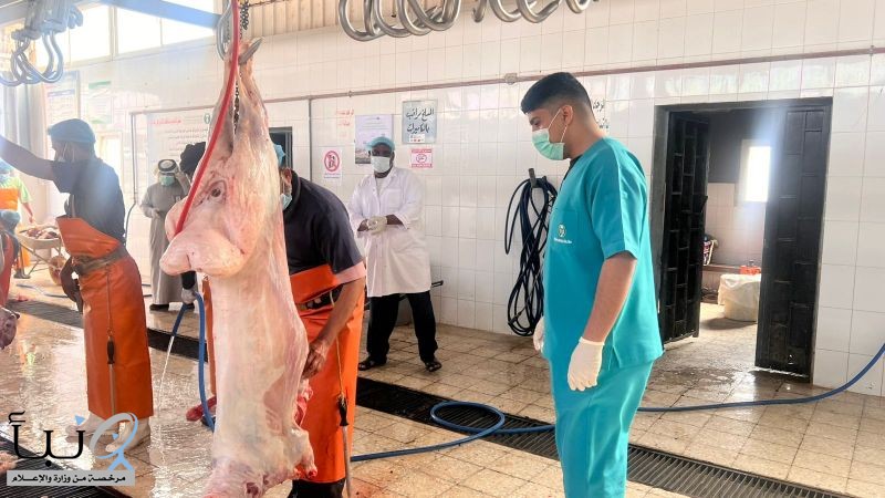 جولة ميدانية لتعزيز جاهزية الأسواق والمسالخ بالعويقيلة استعدادًا لرمضان