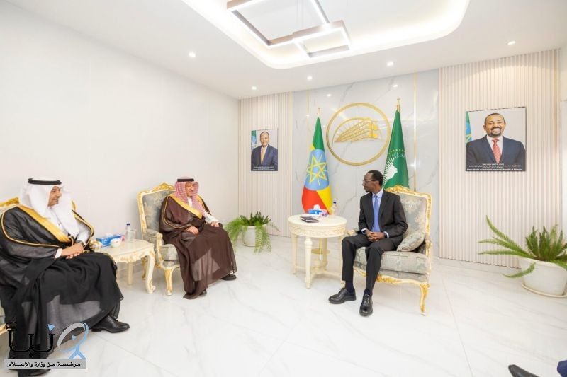 نائب وزير الخارجية يلتقي وزير خارجية إثيوبيا