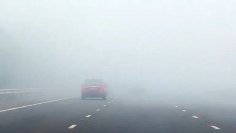 “الأرصاد” تحذر من موجة ضباب على منطقة الباحة