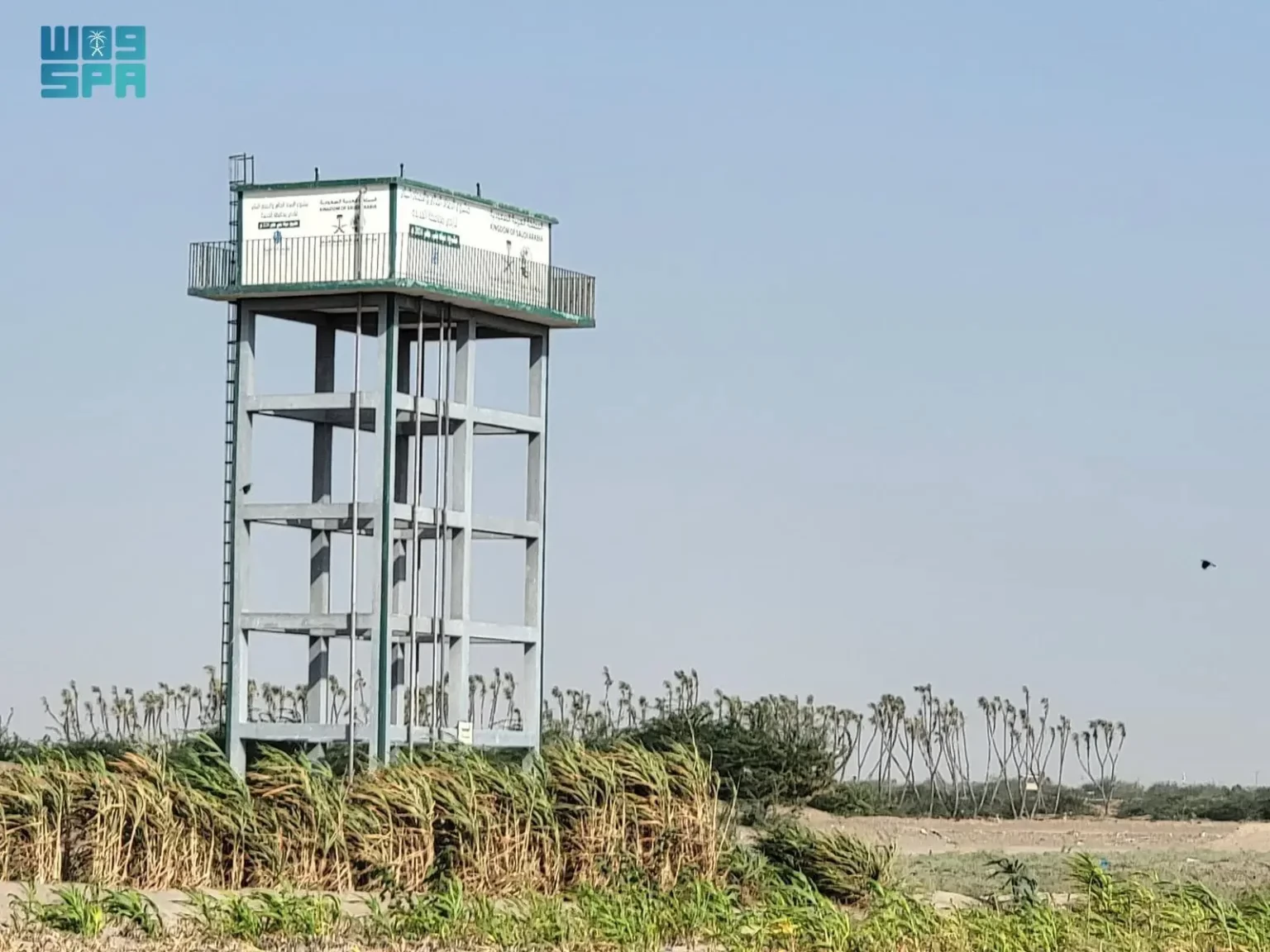 ضخ مليون و435 ألف لتر ضمن مشروع الإمداد المائي والإصحاح البيئي في مديرية الخوخة بالحديدة