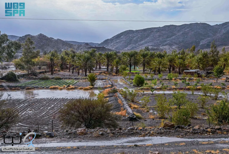أمطار تُنعش أجواء الباحة وتُعزز جاذبية المواقع السياحية في العيد