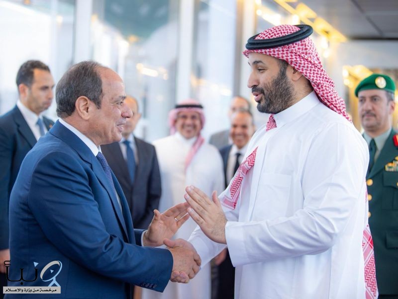 الرئيس المصري يغادر جدة وسمو ولي العهد في مقدمة مودعيه #عاجل