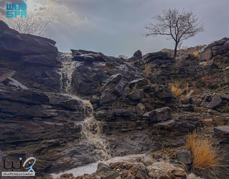 أجواء ربيعية ماطرة تُنعش الباحة وتُعزّز حضورها كوجهة سياحية