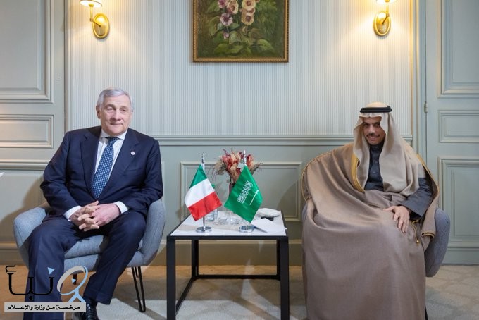 وزير الخارجية يبحث العلاقات الثنائية مع نظيره الإيطالي