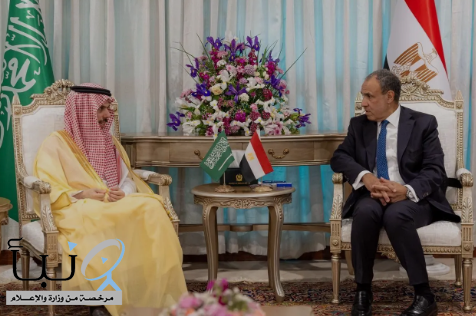 وزير الخارجية يستعرض مع نظيره المصري في #إسلام_آباد التحديات الراهنة