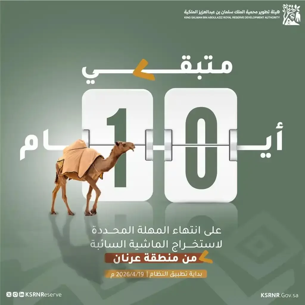 هيئة تطوير محمية الملك سلمان تمنح مهلة 10 أيام لإخراج المواشي السائبة في “عرنان”