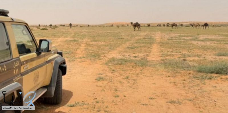 الأمن البيئي يضبط مخالفين لنظام البيئة في محميتي الأمير محمد بن سلمان والملك عبدالعزيز ويؤكد العقوبات