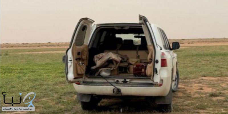 الأمن البيئي يضبط مخالفين لنظام البيئة ويؤكد تطبيق الغرامات على التعديات البيئية