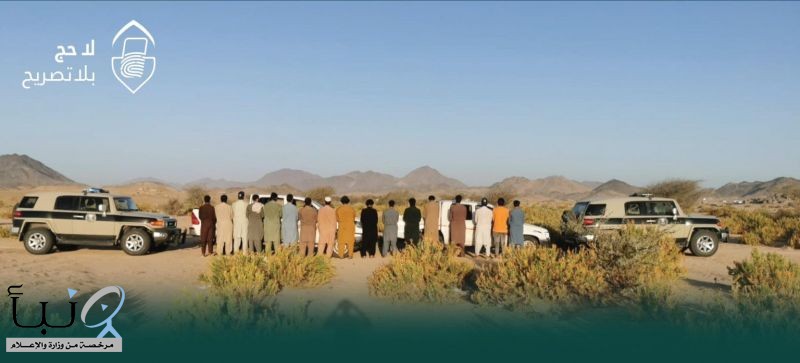 قوات أمن الحج تضبط مخالفين لأنظمة الحج بمحاولة دخول مكة دون تصريح ونقل 17 مقيمًا