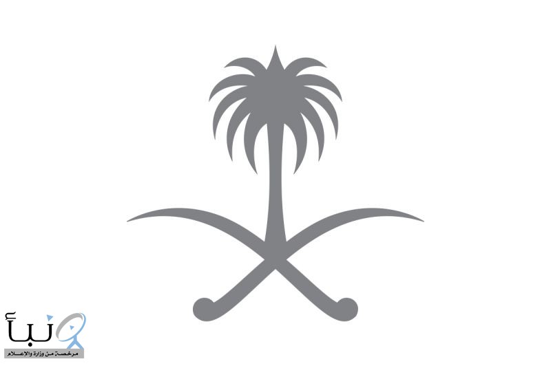 الجريدة الرسمية تنشر تنظيم مركز الإيرادات غير النفطية لتعزيز إدارة وتنمية الإيرادات