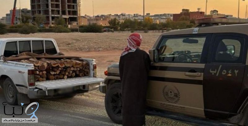 الأمن البيئي يضبط مخالفات نقل الحطب والرعي وإشعال النار في مواقع محظورة