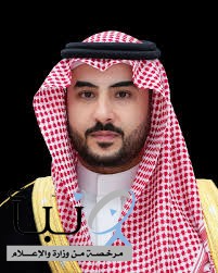 وزير الدفاع يلتقي مستشار الأمن القومي البريطاني في جدة