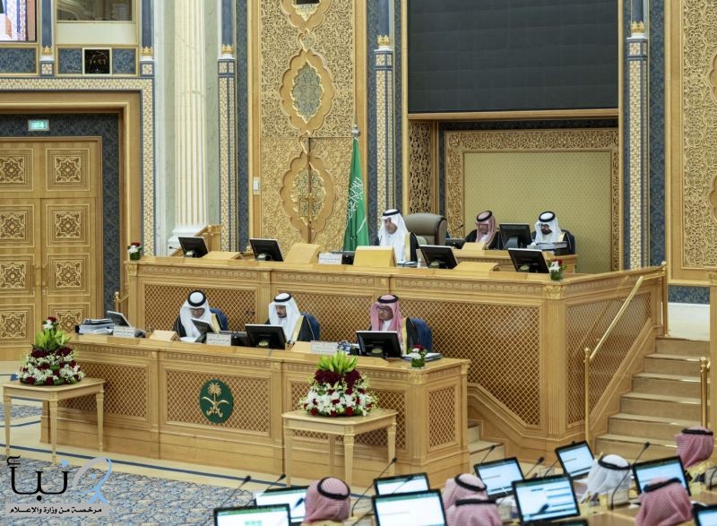 مجلس الشورى يطالب بدراسة إنشاء طرق برية وسكك حديدية إضافية لربط مناطق المملكة أصدر حزمة قرارات تطويرية