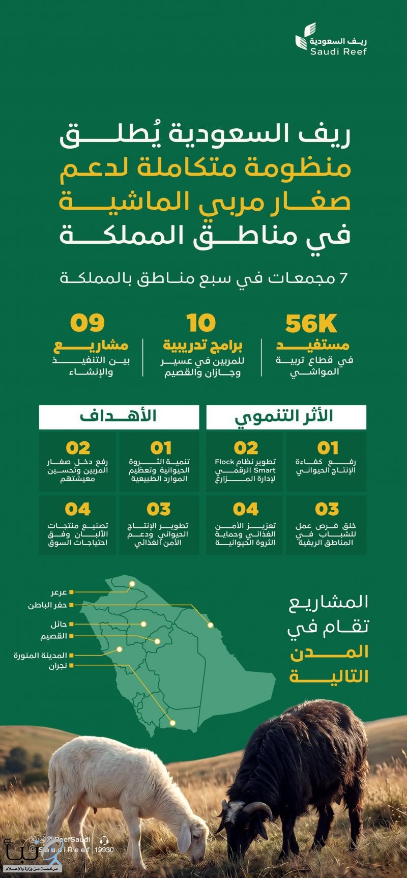 "ريف السعودية" ينفّذ 7 مجمعات نموذجية للإنتاج الحيواني لتطوير قطاع تربية المواشي في عددٍ من المناطق
