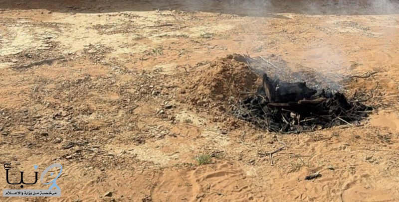 الأمن البيئي يضبط مخالفات متنوعة في محميات الملك عبدالعزيز والإمام عبدالعزيز بن محمد والمدينة المنورة