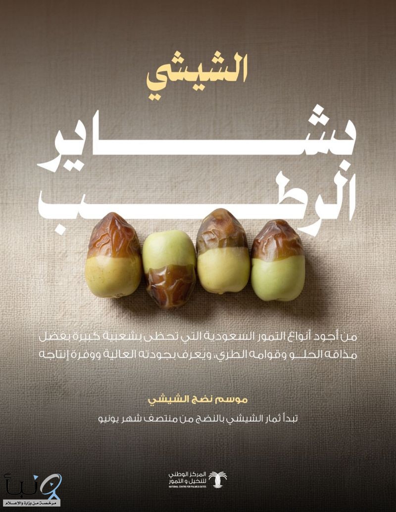"النخيل والتمور": إقبال واسع من المستهلكين على رطب الشيشي مع باكورة حصاده في موسم بشاير الرطب