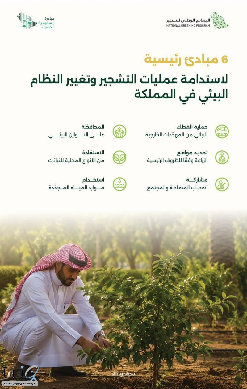 «الوطني للتشجير»: 6 مبادئ تقود استدامة التشجير وتغيير النظام البيئي في المملكة