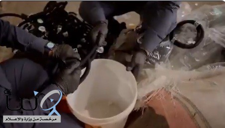 «زاتكا» تُحبط تهريب أكثر من 208 آلاف حبة إمفيتامين عبر منفذ الحديثة وتقبض على مستقبليها