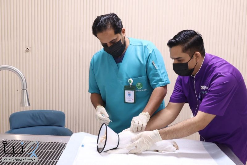 "وقاء" بمنطقة مكة المكرمة أطلق حملة لتحصين الحيوانات الأليفة ضد مرض السعار. "وقاء" بمنطقة مكة المكرمة أطلق حملة لتحصين الحيوانات الأليفة ضد مرض السعار.