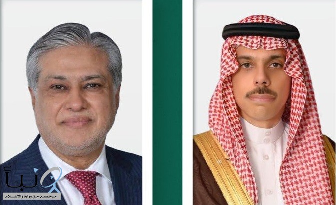 وزير الخارجية يتلقى اتصالًا هاتفيًا من نائب رئيس الوزراء وزير خارجية باكستان