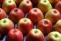 دراسة جديدة : أكل التفاح بانتظام قد يمنع الإصابة بسرطان القولون والمستقيم 