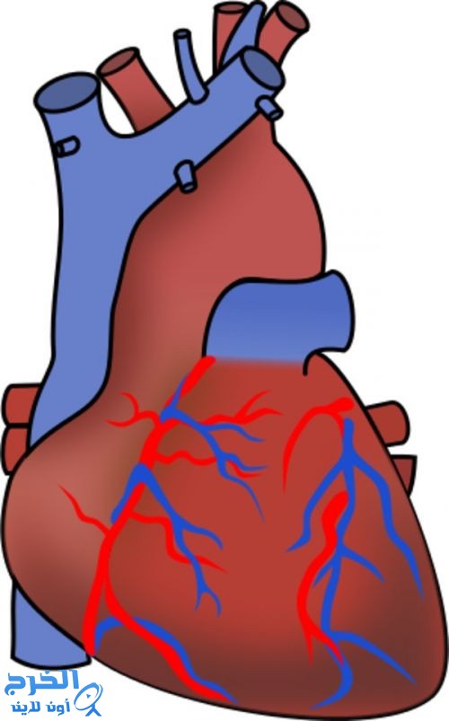 سرعة وتدفق الدم في القلب بتقنية 3D