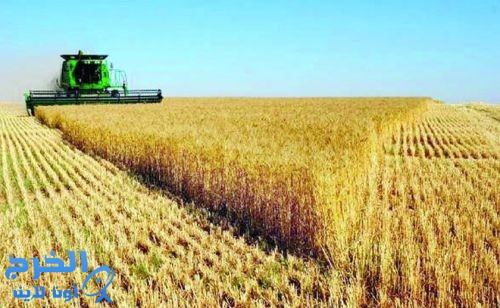 مشروع سعودي لخفض تكاليف إنتاج المحاصيل الزراعية