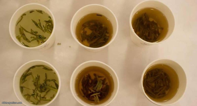 تجربة علمية تكشف «فائدة مذهلة» للشاي الأخضر