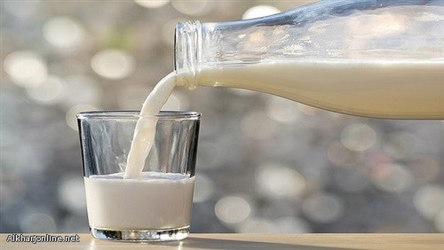 دليل علمي جديد على صحة "أسطورة الحليب"