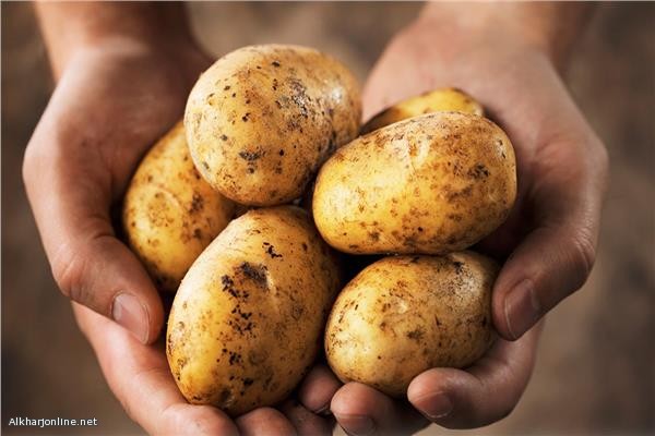 «ريجيم البطاطس» لإنقاص 4 كيلو من وزنك في أسبوع