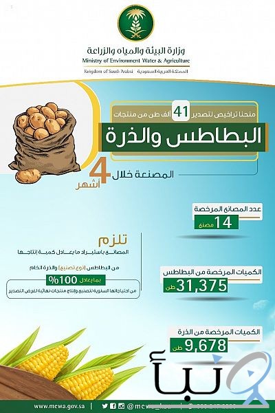 #"البيئة" ترخص لـ 14 مصنعاً لتصدير البطاطس والذرة المصنعة خلال 4 أشهر
