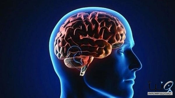 دراسة: السمنة تؤدي لصغر حجم دماغ الإنسان