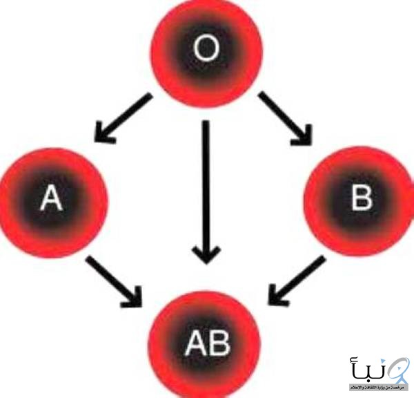 اختراق طبي: تحويل كل فصائل الدم إلى نوع واحد