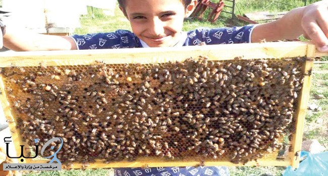 انطلاق مهرجان العسل في ميسان الأحد القادم