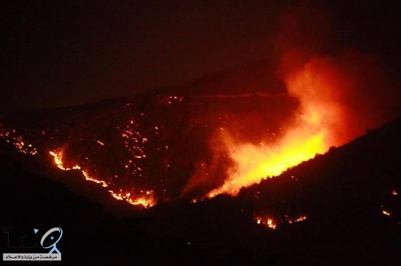 سلسلة من الحرائق تجتاح عدة مناطق في لبنان وتداهم السكان