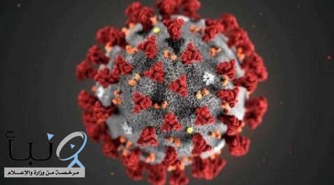 دراسة: الجهاز المناعي يستجيب بشكل «قوي» لفيروس كورونا