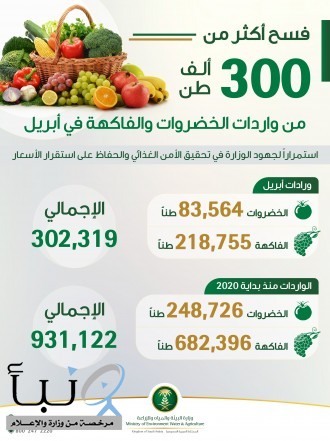 البيئة: فسح أكثر من 300 ألف طن من واردات الخضروات والفاكهة خلال شهر أبريل