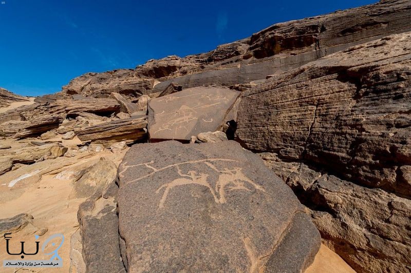 منطقة نجران تتجه لأن تكون أكبر متحف مفتوح للنقوش الصخرية عالمياً